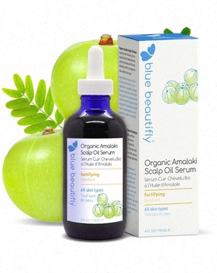 Achat Amalaki illustration plantes et capsules