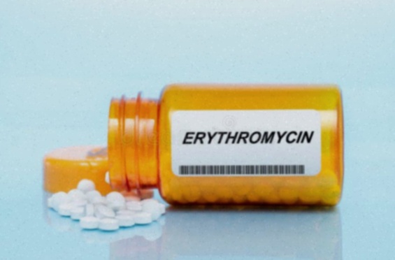 Érythromycine gélules – Antibiotique