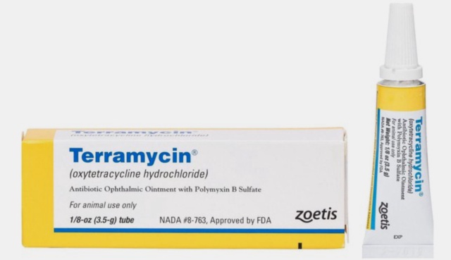 Acheter Terramycin - Illustration